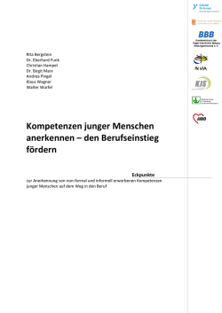 Eckpunkte zur Entwicklung und Einf&uuml;hrung eines