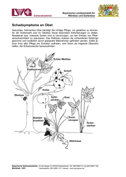 Infoschrift Schadsymptome an Obst 307 KB - LWG