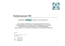 Mediationsansatz PME - PME