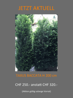 JETZT AKTUELL