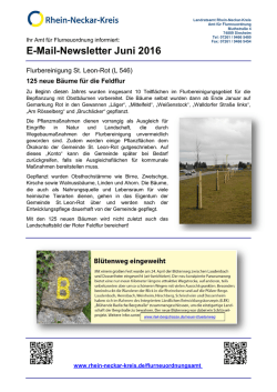E-Mail-Newsletter Juni 2016 - Rhein-Neckar