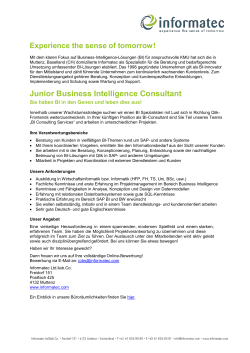 Junior Business Intelligence Consultant