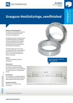 Grauguss-Ventilsitzringe, semifinished