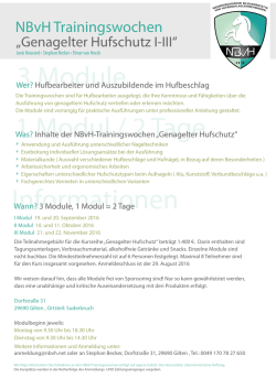Informationen 3 Module 1 Modul / 2 Tage