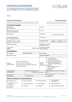 Personalfragebogen Minijob