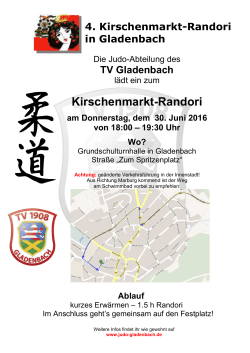 2016_06_30 4. Kirschenmarkt-Randori - Judo
