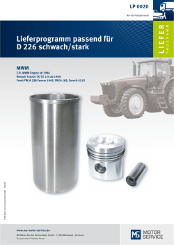 Lieferprogramm passend f&uuml;r D 226 schwach/stark