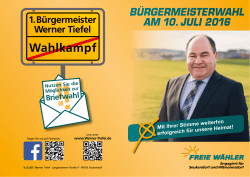 Wahlkampf - Werner Tiefel