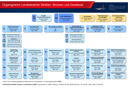 Organigramm des LSBG