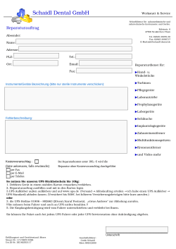 Reparaturauftrag