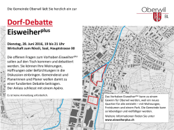 Dorf-Debatte Eisweiherplus