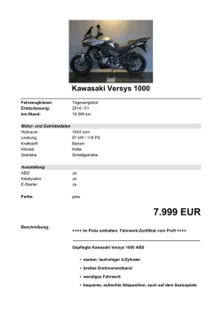 Detailansicht Kawasaki Versys 1000