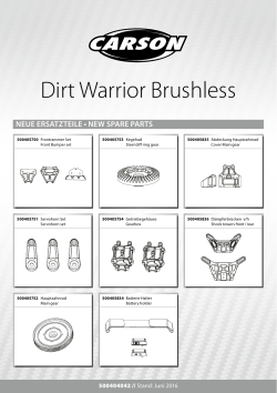 Dirt Warrior Brushless