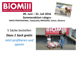 Sommeraktion «Dogs