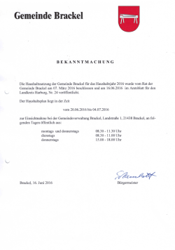 Haushaltssatzung (288,5 KiB)