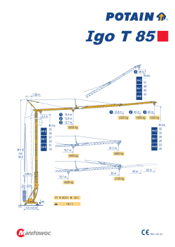 Igo T 85 - Kran AG