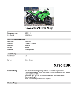 Detailansicht Kawasaki ZX-10R Ninja