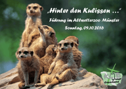 Hinter den Kulissen - KLJB