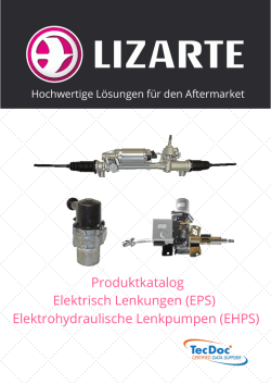 FIAT - Lizarte