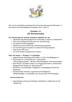 als PDF-Datei