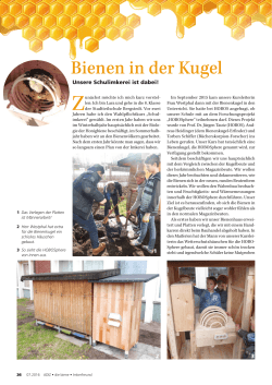 Bienen in der Kugel - Stadtteilschule Bergstedt