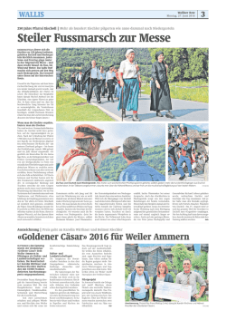 Der Bericht im Walliser Bote vom 27. Juni 2016