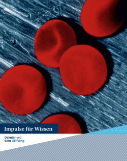 Impulse f&uuml;r Wissen - Daimler und Benz Stiftung