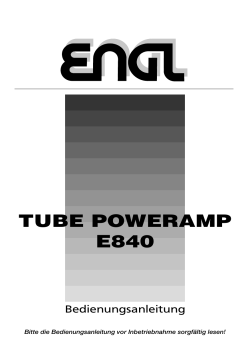 tube poweramp e840