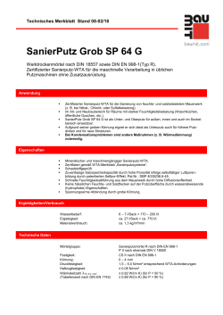 SanierPutz Grob SP 64 G