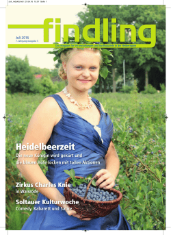 Heidelbeerzeit - Findling