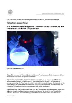 Kaltes Licht aus der Natur Biolumineszenz