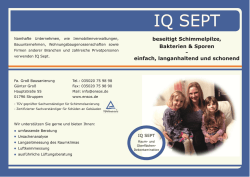 Flyer IQ Sept - Fa. Groß Bausanierung