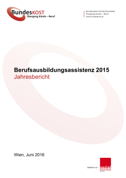 Berufsausbildungsassistenz 2015 Jahresbericht
