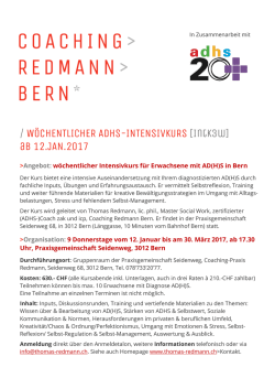 Flyer Intensivkurs Jan.2017