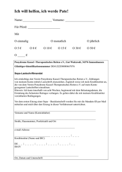 Patendokument - Ponydrome Kassel