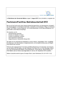 Fachmann/Fachfrau Betriebsunterhalt EFZ