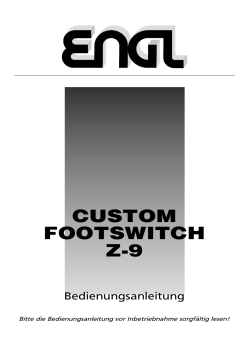 custom footswitch z-9