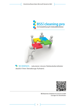 bss cleaning pro