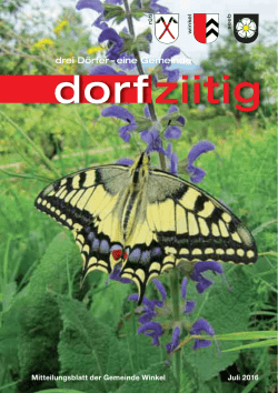Dorfziitig Juli 2016