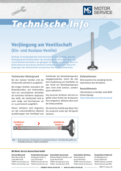 Technische Info - MS Motorservice International