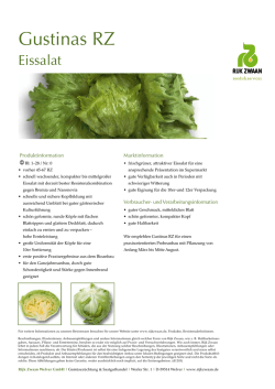 Gustinas RZ und 45-32 RZ Produktinfo pdf