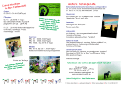 Reit- und Ferienkurse 2016 Homepage