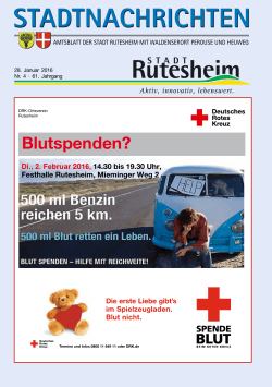Rutesheim KW04 Internet 01