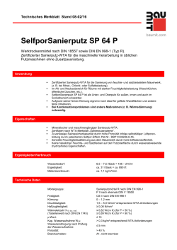 SelfporSanierputz SP 64 P