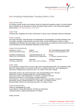 ein Kurzportrait. - Morgenthaler Consulting