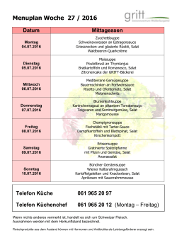 Menuplan Woche 27 / 2016