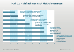 NAP 2.0 – Maßnahmen nach Maßnahmenarten
