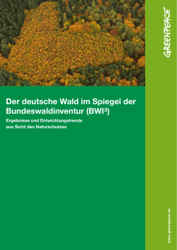 Analyse: Der deutsche Wald im Spiegel der