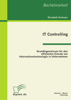 IT Controlling Bachelorarbeit
