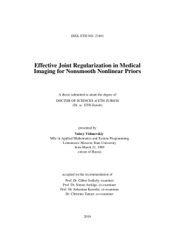 Effective Joint Regularization in Medical Imaging - ETH E